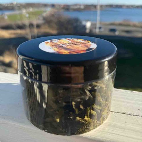 Tørket sukkertang, boks à 10 g – Ten Island Seafarm